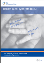 Forside diagnosefolder BBS Forside diagnosefolder BBS