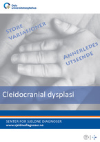 Forside diagnosefolder Forside diagnosefolder