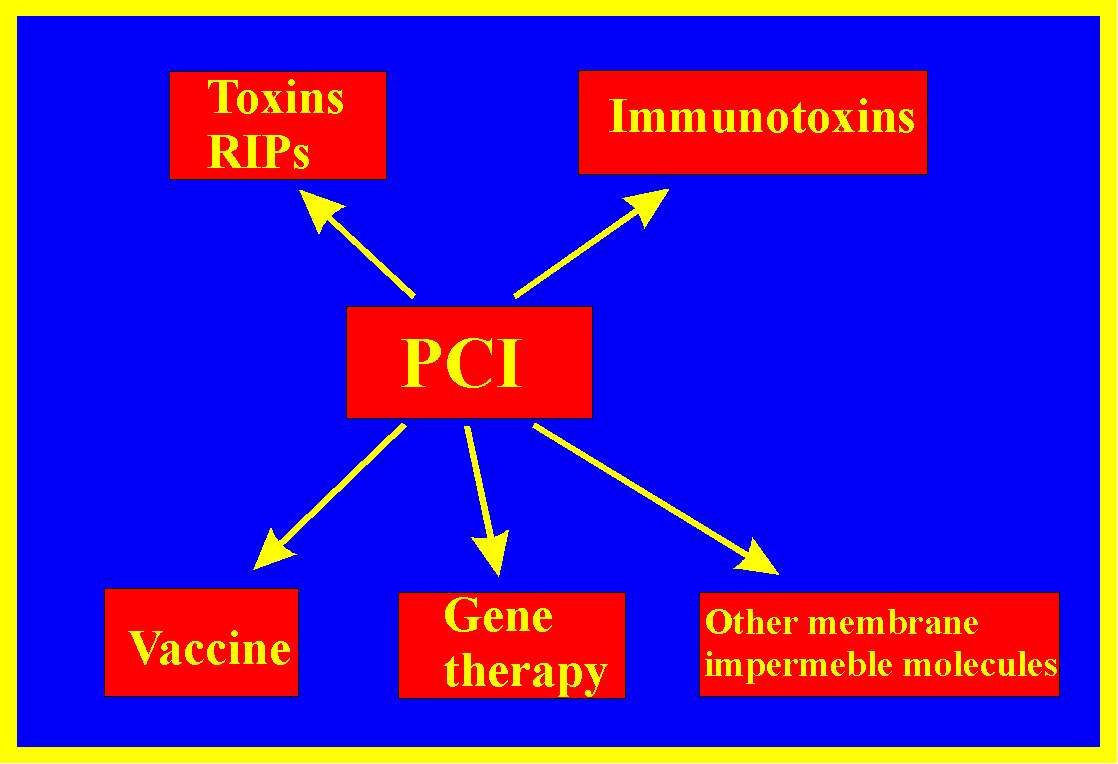 As indicated in the figure the PCI project can be divided into several subprojects. (click to enlarge) As indicated in the figure the PCI project can be divided into several subprojects. (click to enlarge)