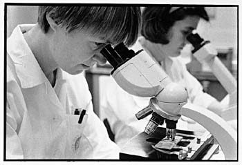 Using_microscope