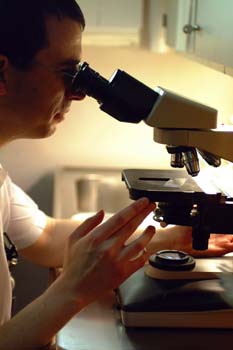 microscope