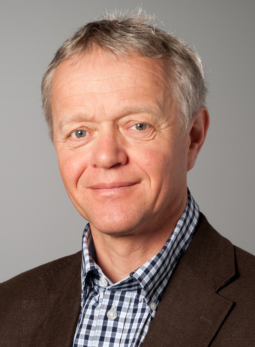 Professor Lars Nordsletten Professor Lars Nordsletten