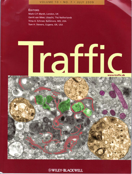 (click to enlarge image) (click to enlarge image)