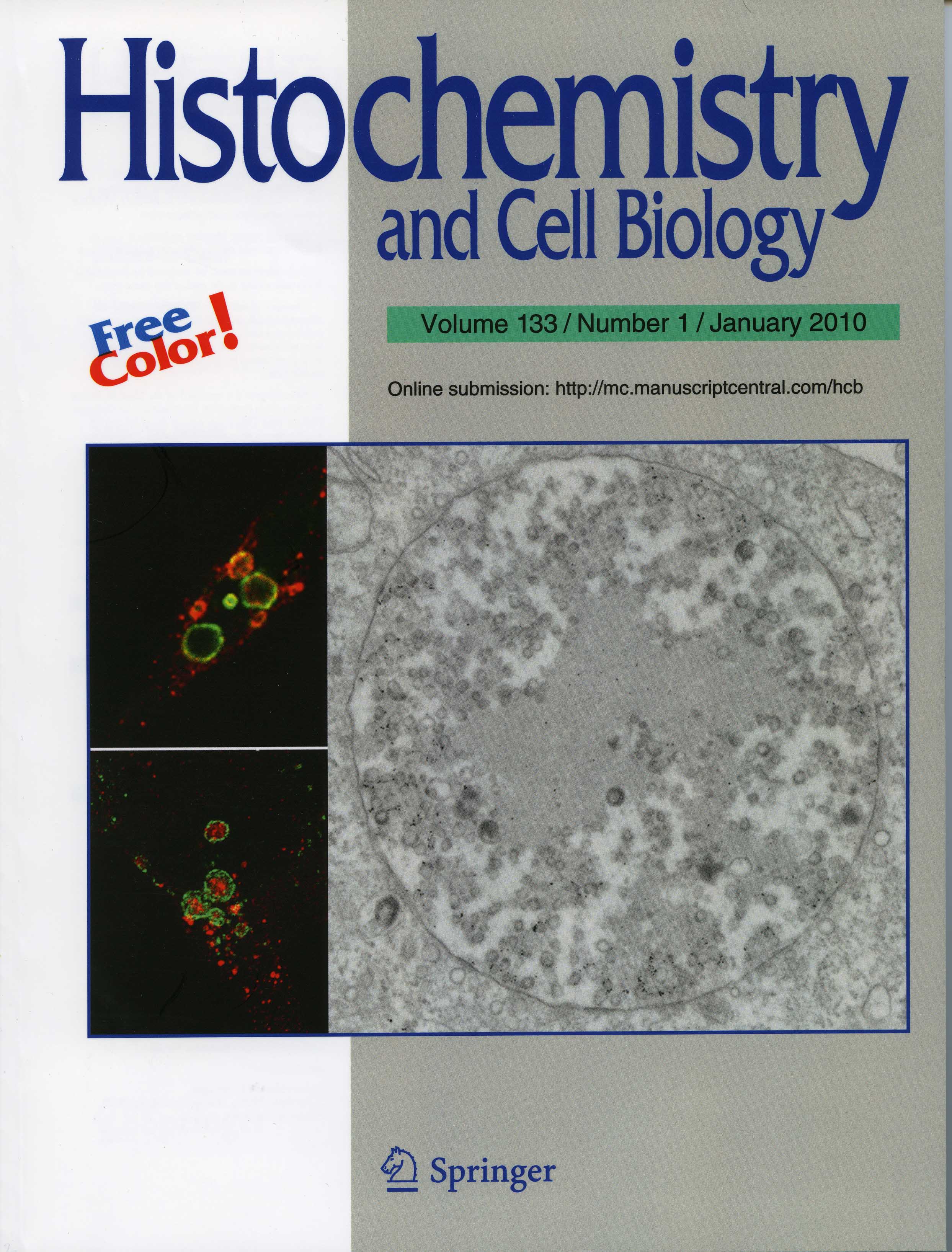 (click to enlarge image) (click to enlarge image)