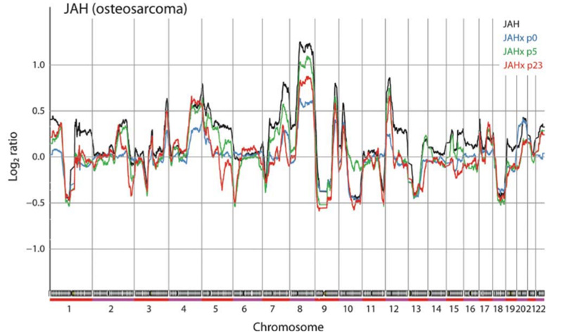 The figure shows the chromosomal copy number profiles for an osteosarcoma patient sample (black), the tumour that grew on implantation in mice (blue), passage 5  The figure shows the chromosomal copy number profiles for an osteosarcoma patient sample (black), the tumour that grew on implantation in mice (blue), passage 5