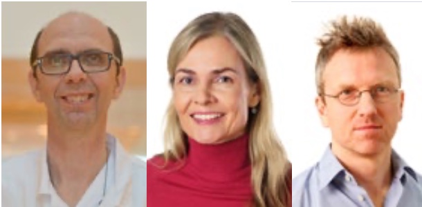 From left: Dag Josefsen, Johanna Olweus and Karl-Johan Malmberg From left: Dag Josefsen, Johanna Olweus and Karl-Johan Malmberg
