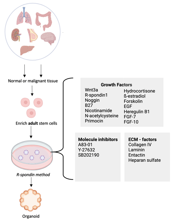OUH - Cancer Genome Variation OUH - Cancer Genome Variation