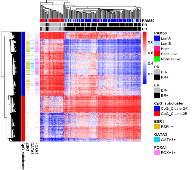 Figure 5. emQTL analysis identifies epigenetically regulated transcription factor signaling pathways in breast cancer <br />Genome-wide expression-methylation quantitative trait loci (emQTL) analysis between DNA methylation and gene expression identified a regulatory network related to estrogen receptor (ER) signaling that was altered by DNA methylation in breast cancer. We identified lineage specific differences in methylation at enhancers carrying transcription factor binding regions, which correlated with distinct expression of experimentally validated target genes of the transcription factors ERα, FOXA1 and GATA3. The heatmap shows CpGs in binding sites of ERα, FOXA1 and GATA3 being highly methylated in ER negative tumors and lowly methylated in ER positive tumors. The alteration of the DNA methylation at the TF binding regions could be considered an early event during normal breast cell transformation into estrogen dependent tumor cells.<br />.