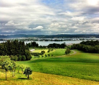 Wolfsberg view