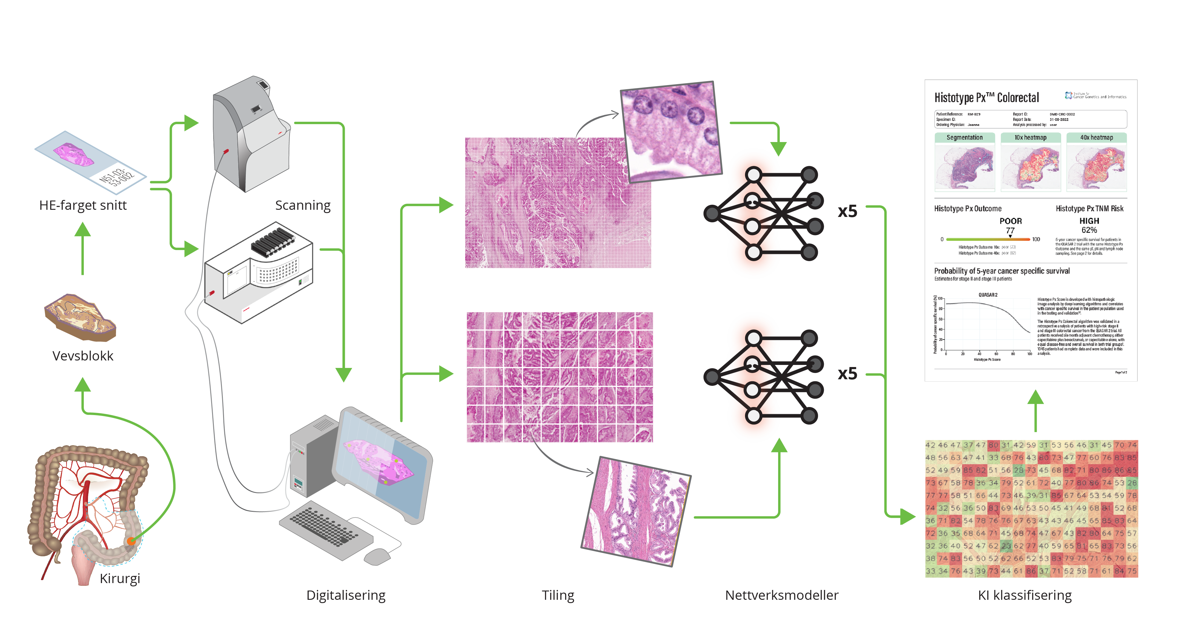 Illustration Histotyping