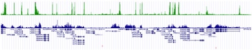 ChIP-Seq of H3K4me3 and H3K36me3 in iMSCs