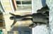 statue1