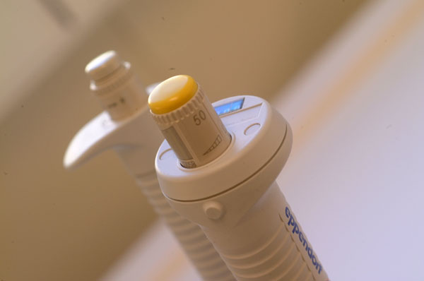 eppendorf2