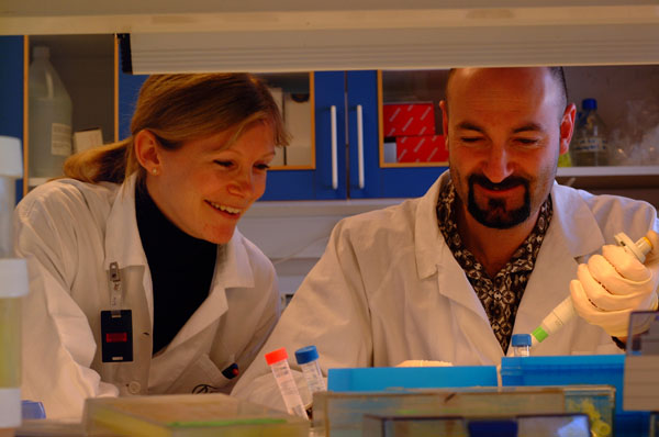 lab2(genetikk)3
