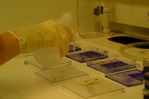 lab3-1