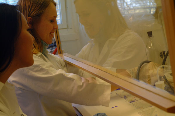 lab3-4