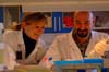 lab2(genetikk)3