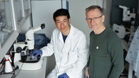 Yanjiao Li (left) and Arne Klungland