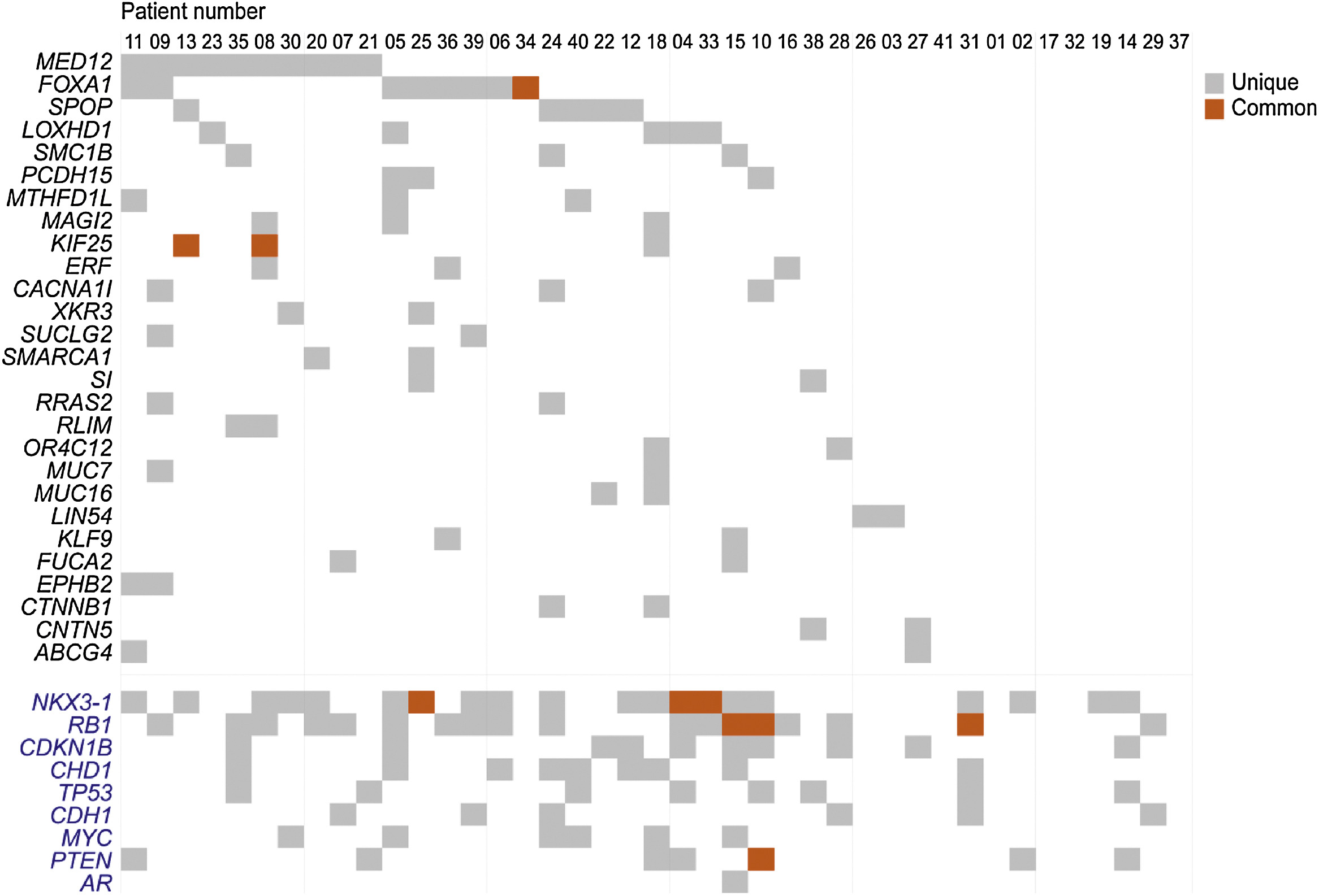 The majority of mutations are not shared among cancer foci within the same patient