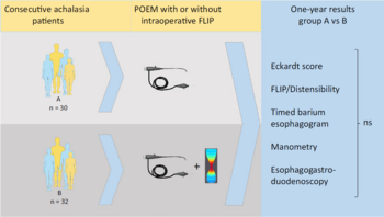 Graphical Abstract