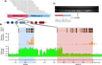 The AKAP13-PDE8A fusion is recurrent in colorectal cancer (Nome et al., 2013)